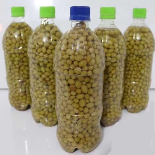 غوره عسگری شوری